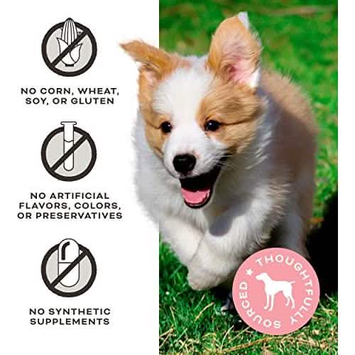 Primal Pet Foods Dog Give Pieces A Chance Chicken with Bone Broth, 4oz Size