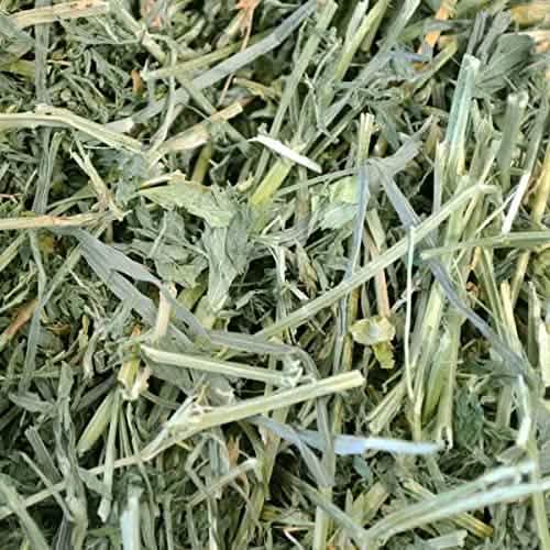 Oxbow Western Alfalfa Hay, 40oz Pack - Premium Quality Alfalfa Hay Flavor for Cats and Dogs