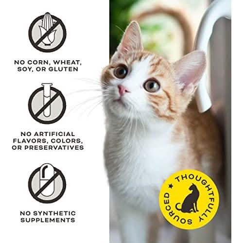 Primal Pet Foods Primal Cat and Dog Liver Laugh Love Pork, 1oz Pack