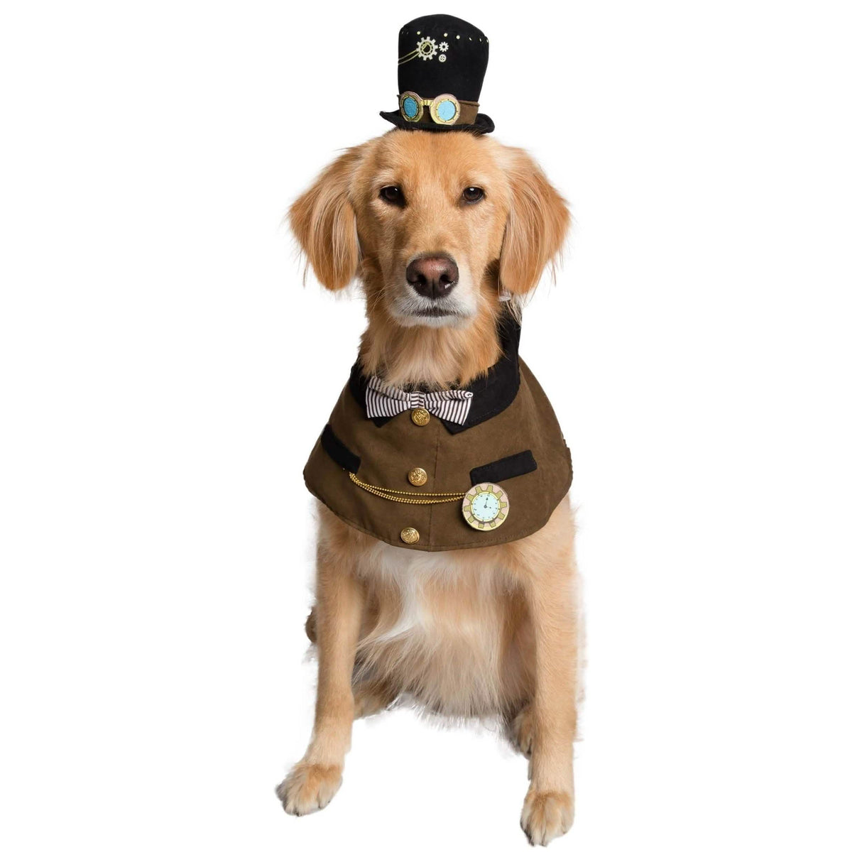 Pet Krewe Steampunk Small/Medium - Unique Dog Costume by Pet Krewe