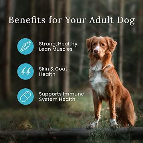 Blue D Wilderness Salmon 24lb