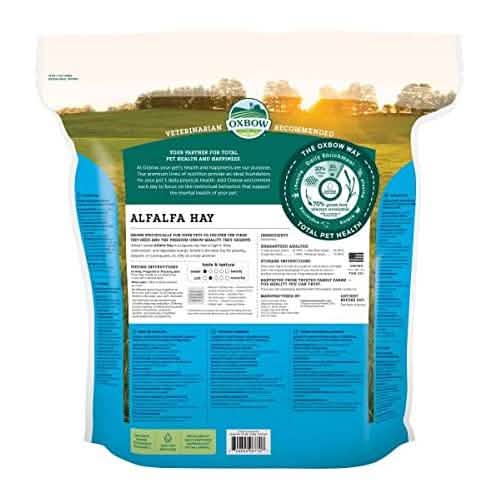 Oxbow Western Alfalfa Hay, 40oz Pack - Premium Quality Alfalfa Hay Flavor for Cats and Dogs