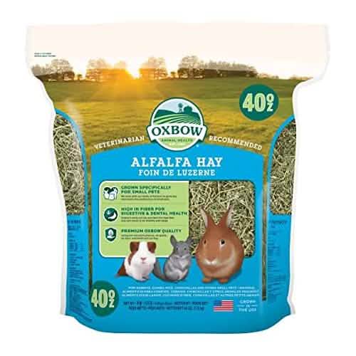 Oxbow Western Alfalfa Hay, 40oz Pack - Premium Quality Alfalfa Hay Flavor for Cats and Dogs