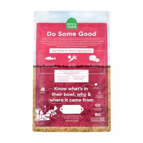 Open Farm D GF Salmon 4lb