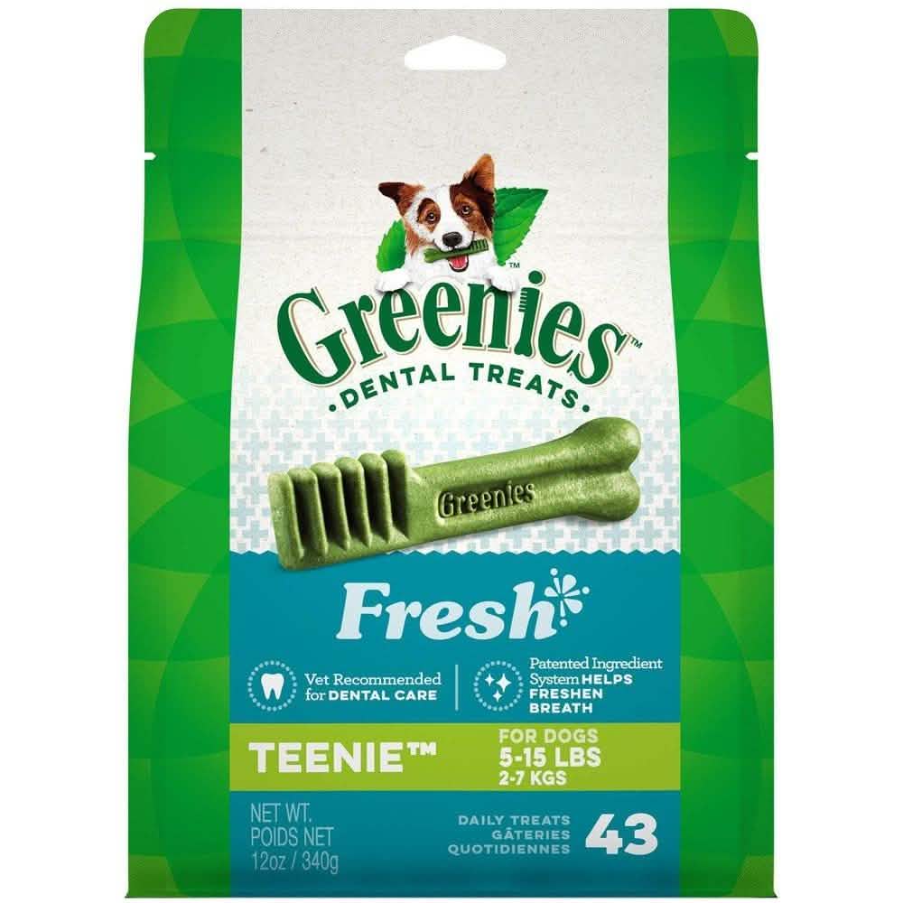 Greenies D Mint Teenie 12oz