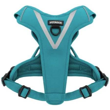Voyager Dog Harnesses Small Size Dual Attachment Maverick Outdoor Dog Harness in Turquoise Color