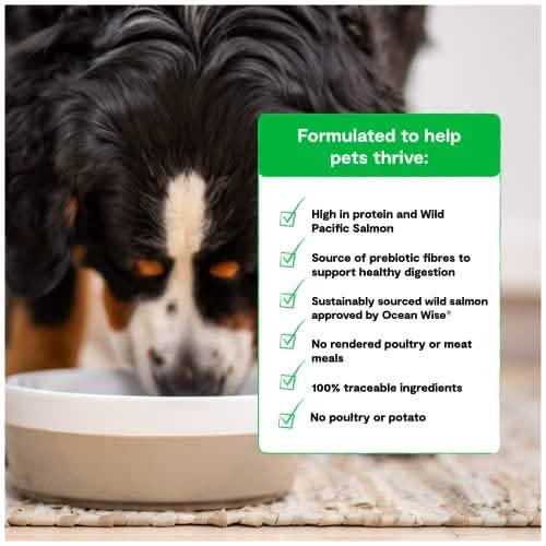 Open Farm D GF Salmon 4lb