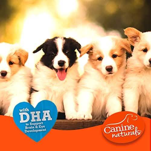 Canine Naturals Hide Free Puppy Chicken 5" 10 pk