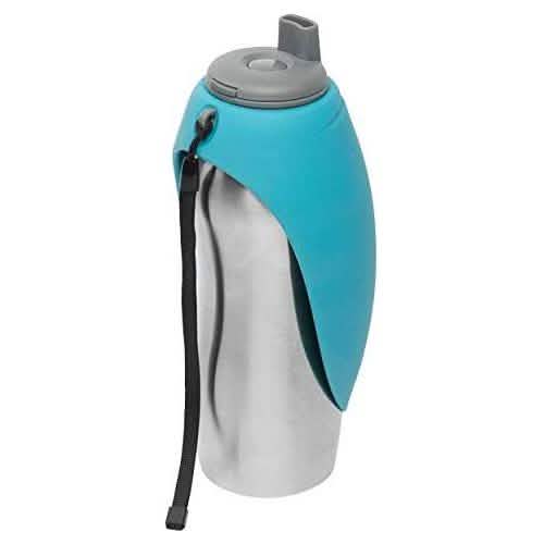 Messy Mutts Travel Water Bottle blue 24oz