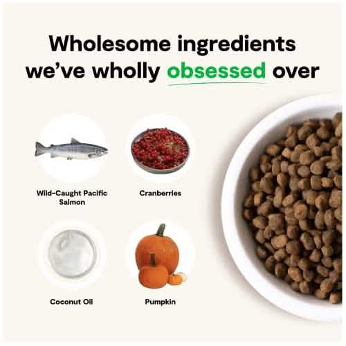 Open Farm D GF Salmon 4lb