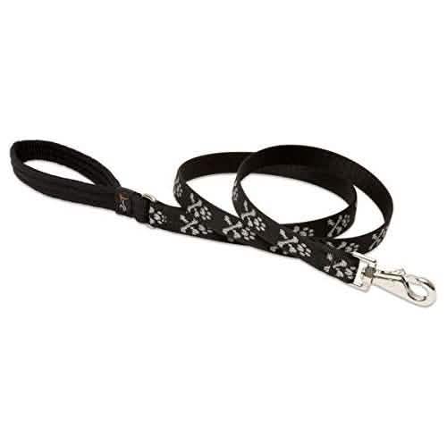 Lupine 3/4" Bling Bonz 6 Foot Leash