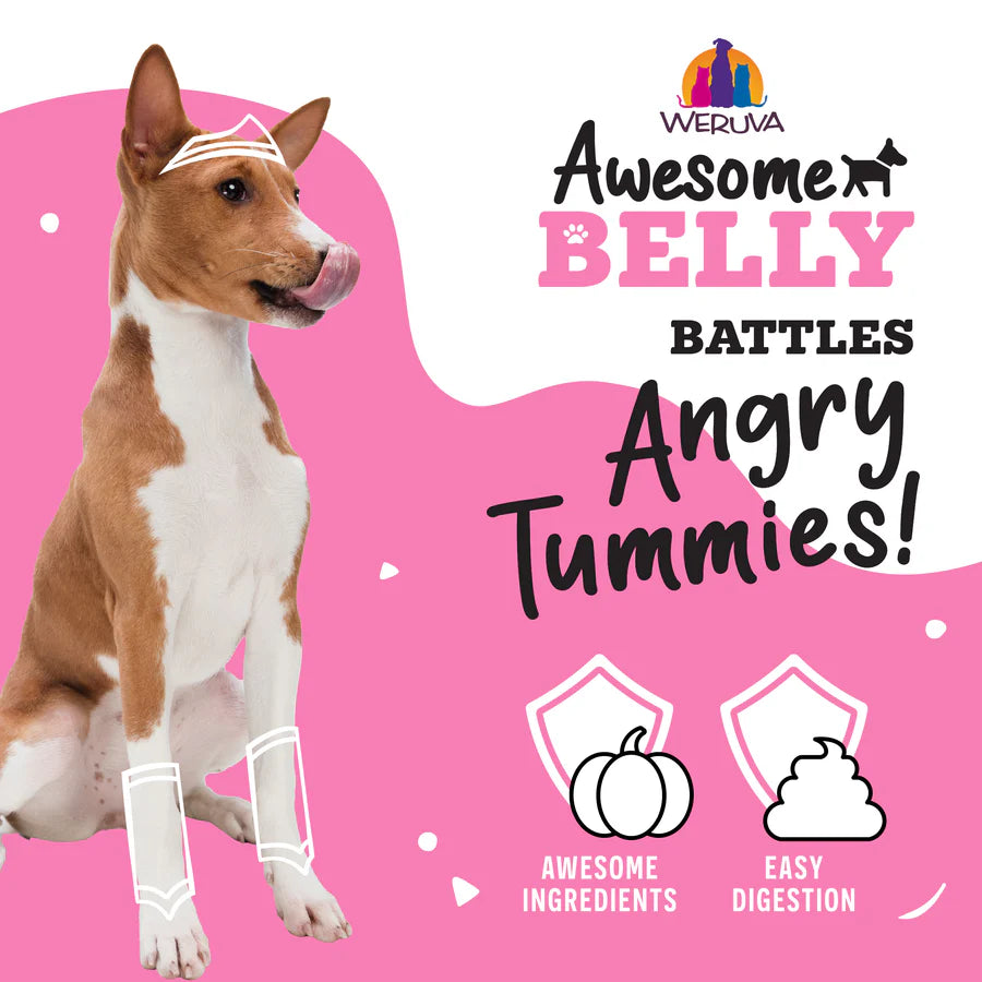 Weruva 개 멋진 배꼽 소화 치킨/쌀/호박 6oz