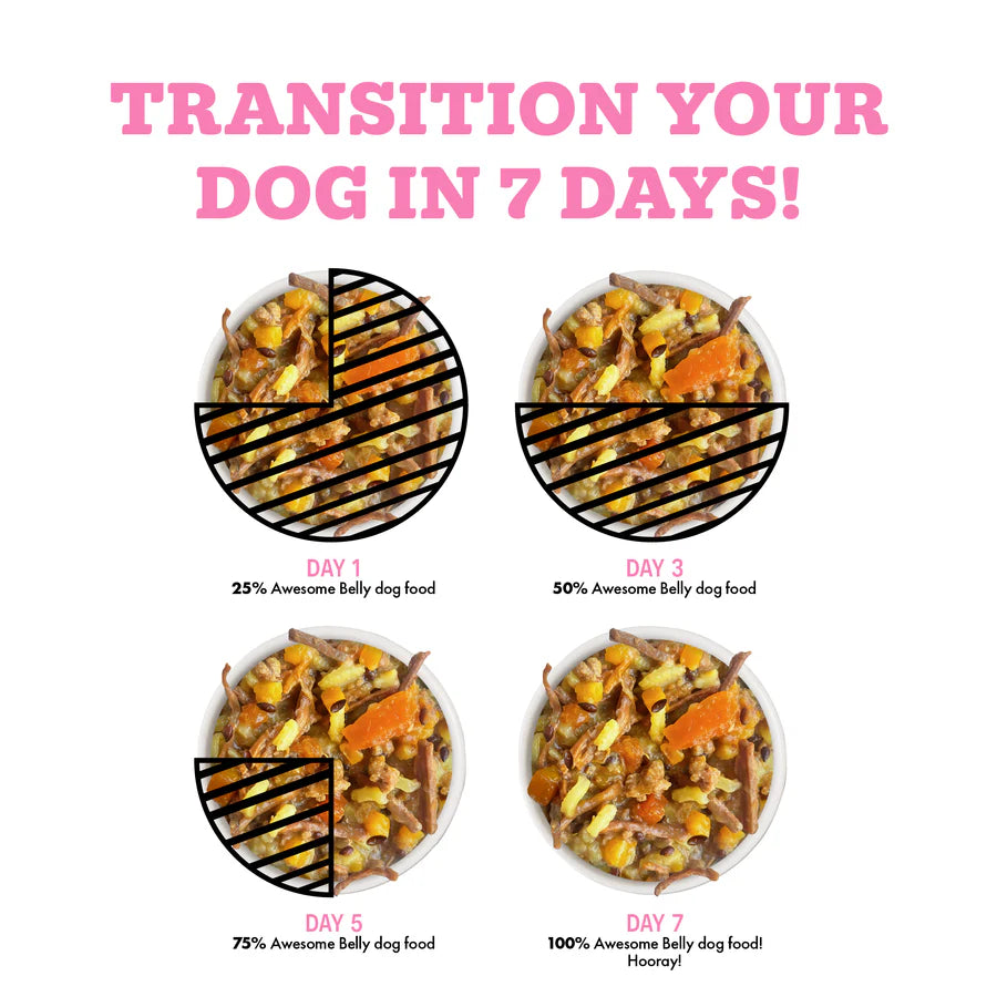 Weruva Dog Wet Food Awesome Belly Digestion Chicken, Rice & Pumpkin 6oz