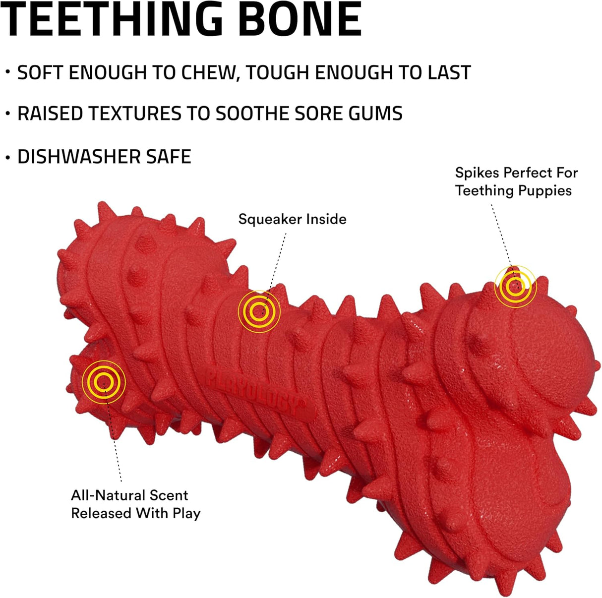 עצם נשיכה לפלאיולוגיה גורים בקר אדום קטן