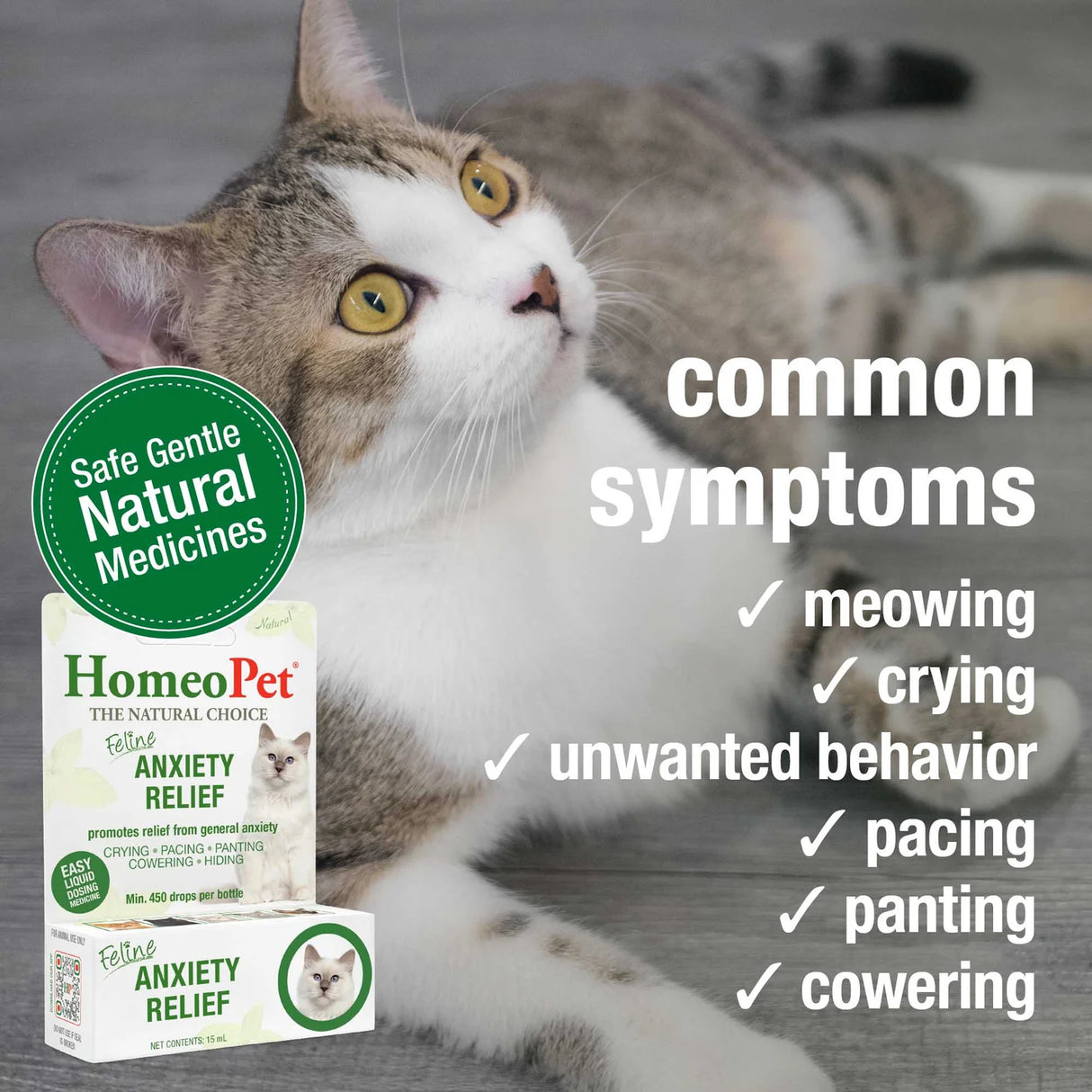 HomeoPet Feline Anxiety Relief for Cats