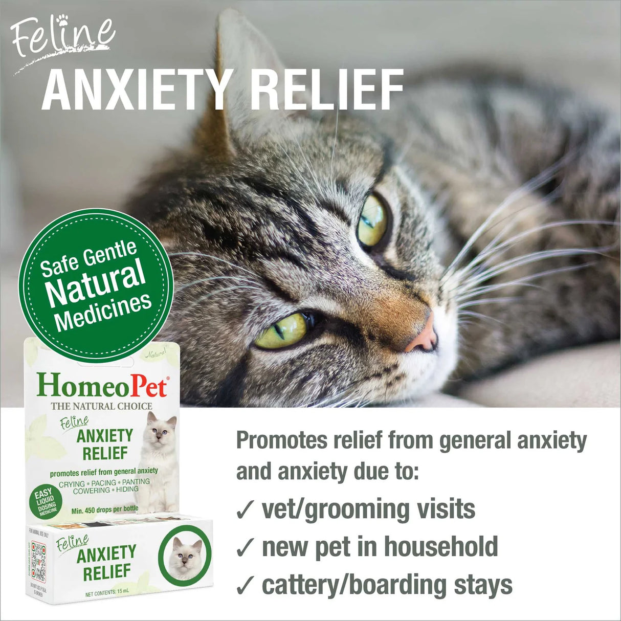 HomeoPet Feline Anxiety Relief for Cats