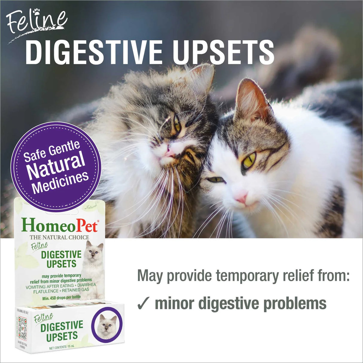 Trastornos digestivos felinos en HomeoPet