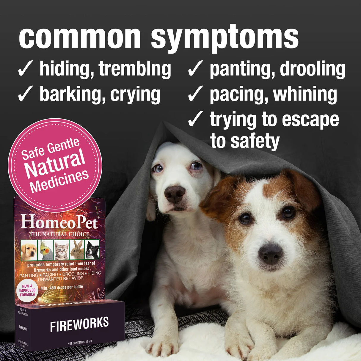 HomeoPet Fireworks