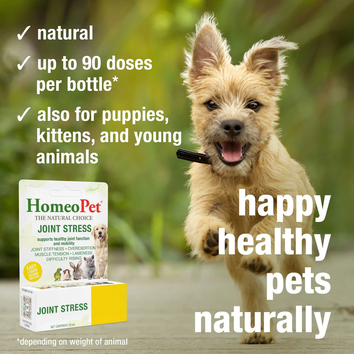 HomeoPet Joint Stress for Pets