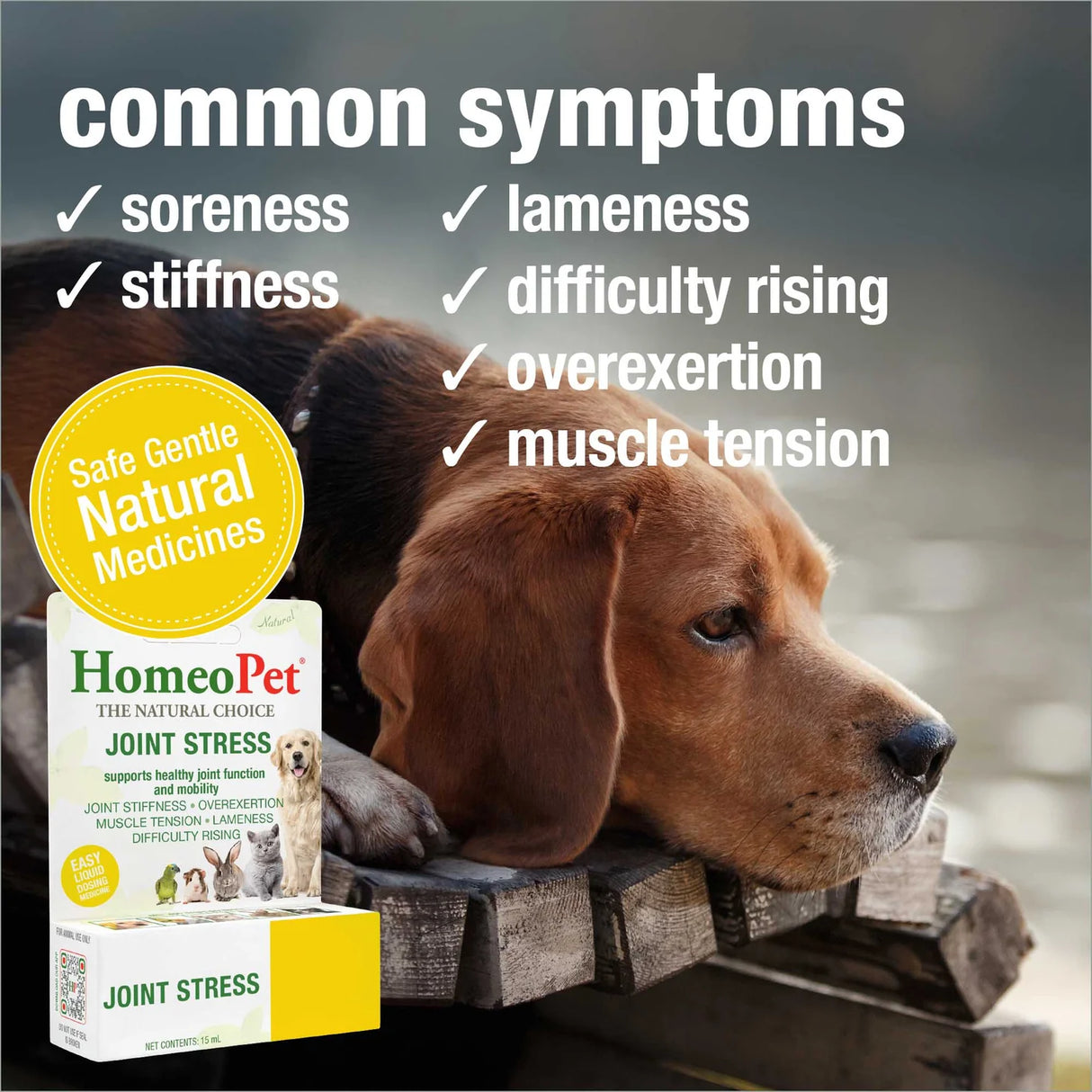 HomeoPet Joint Stress for Pets