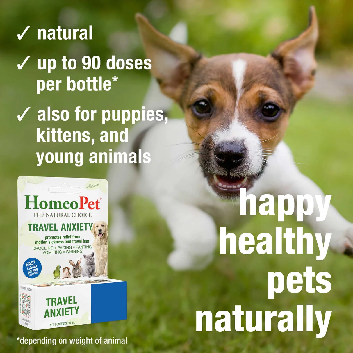 HomeoPet Travel Anxiety for Pets