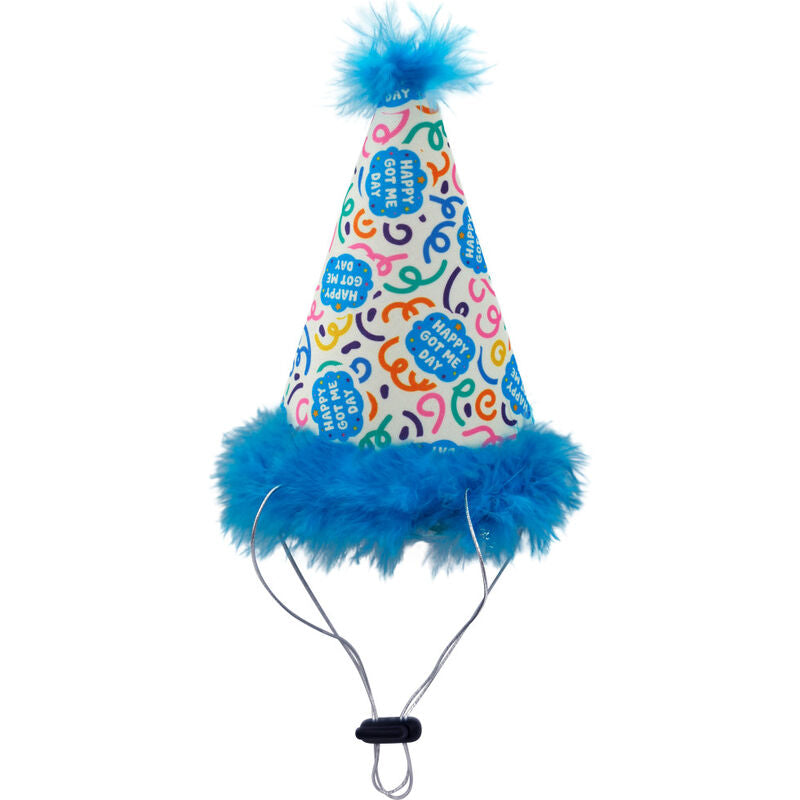 Huxley & Kent Pet Party Hat, Happy Got Me Day Dog Hat, Small