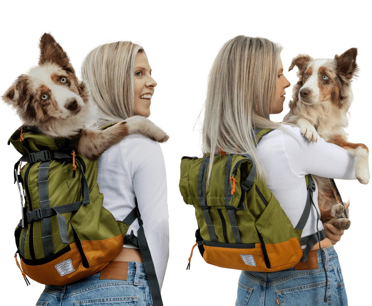 K9 Sport Sack Urban 3 Grey/Orange (Large)