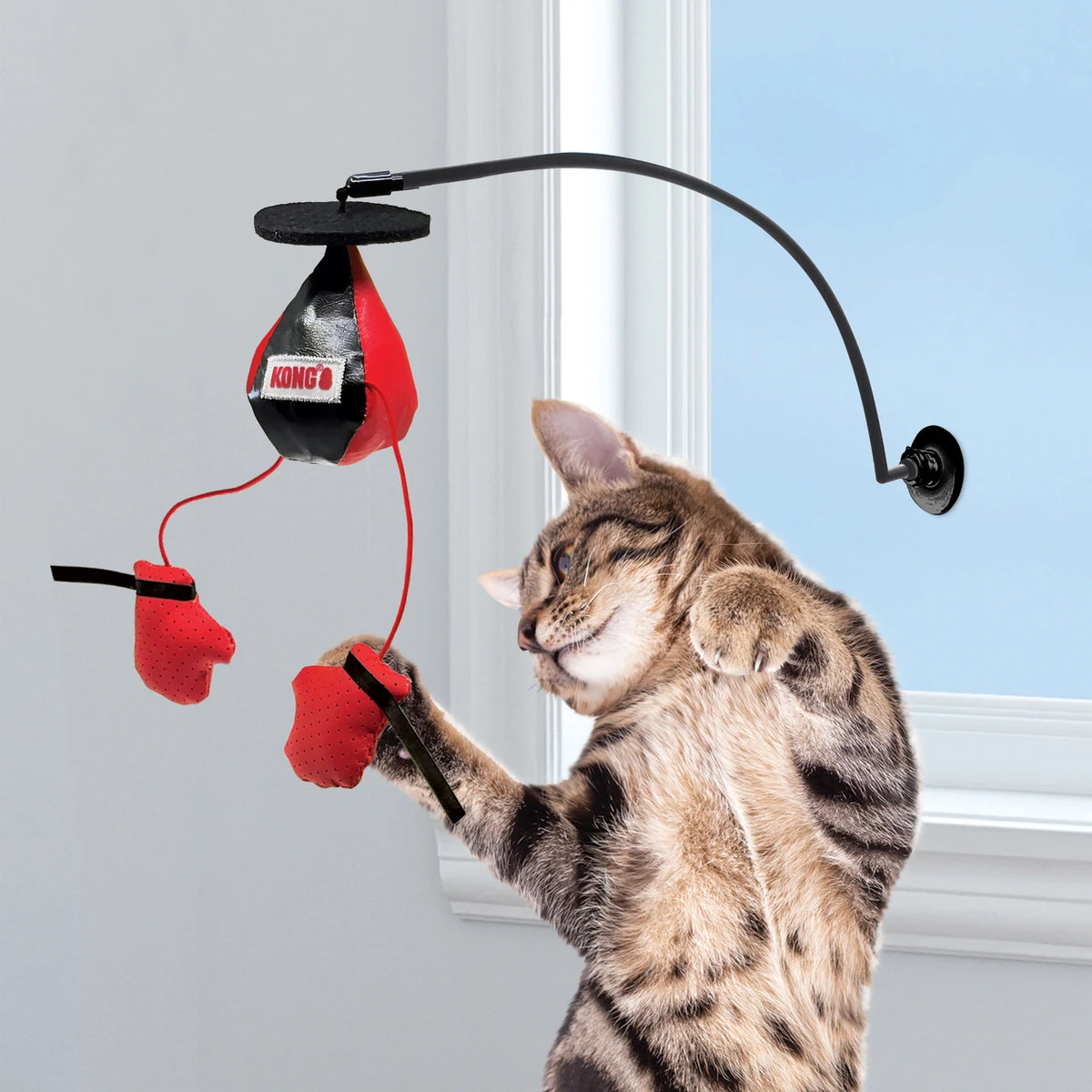 Juguete para gatos con forma de ventana KONG C Connects