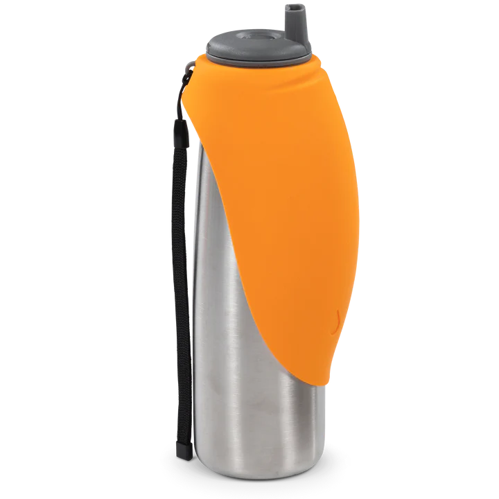 Messy Mutts Travel Water Bottle Double Stainless Steel - Orange (20oz)