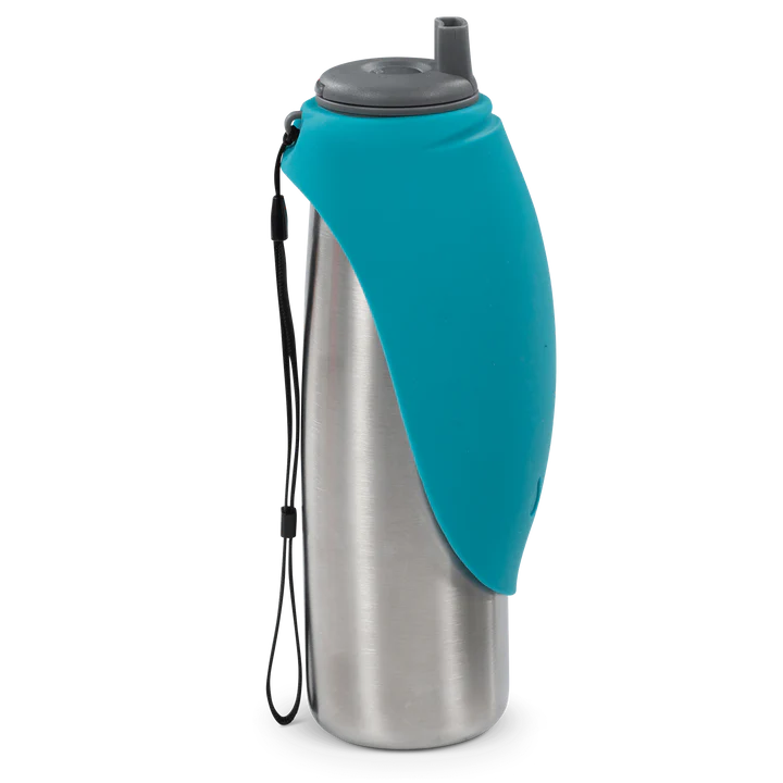 Messy Mutts Travel Water Bottle Double Stainless Steel - Blue (20oz)