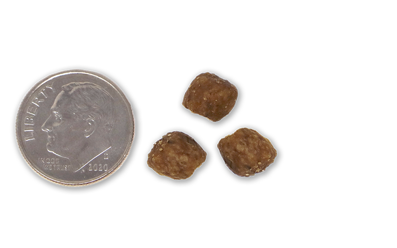 Alimento seco para perros adultos NutriSource en bocados pequeños con pollo y arroz