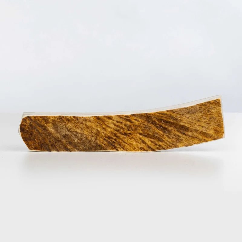 Primal Moose Split Antler (Extra Large - 10+")