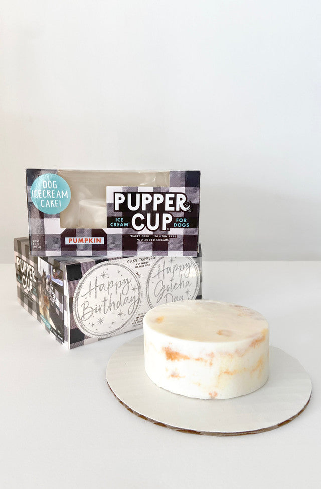 The Pupper Cup Ice Cream Cake for Dogs (8oz Pumpkin)