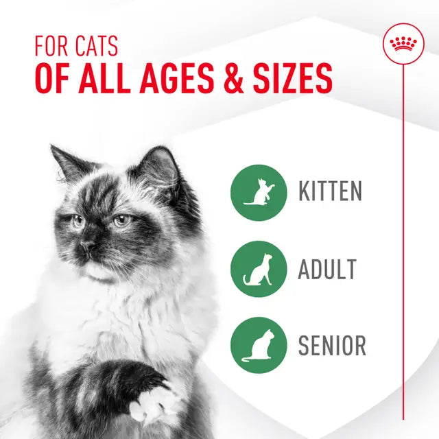 Royal Canin Probiotics for Cats (30 Packets)