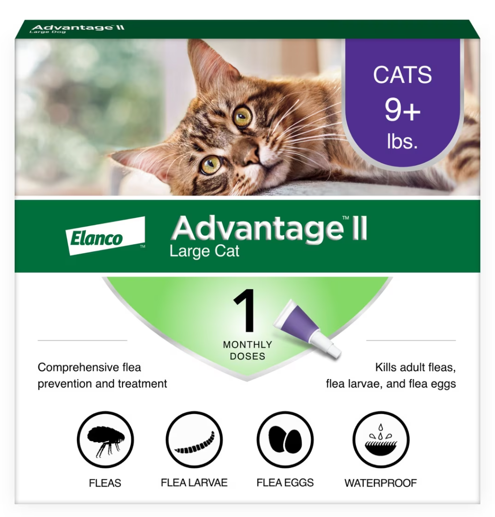 Elanco Advantage For Large Cats