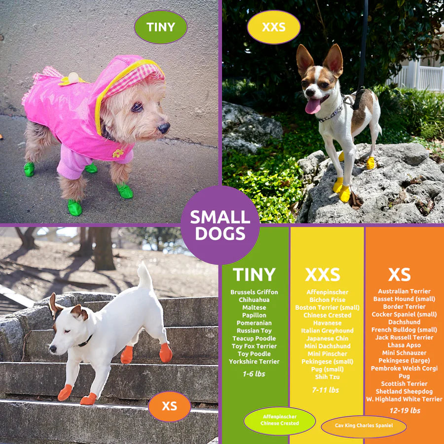 פּאַוועז גומע שיך 12 פּק שוואַרץ קליינטשיק