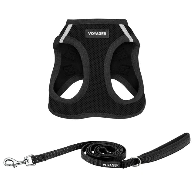 Voyager Cat Harness & Leash Step-In Air Black with Black Trim (XXS)