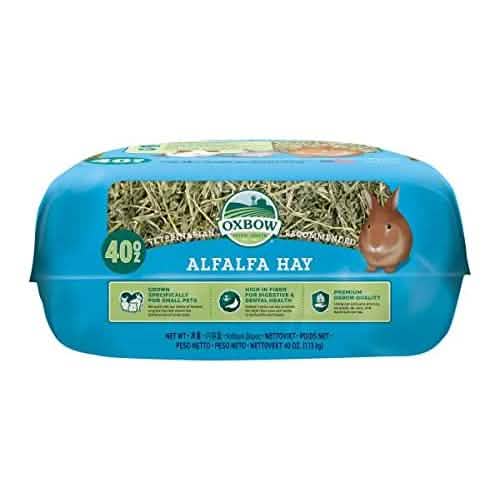 Oxbow Western Alfalfa Hay, 40oz Pack - Premium Quality Alfalfa Hay Flavor for Cats and Dogs