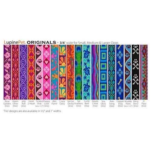 Lupine 3/4" Alpen Glow 6 Foot Leash