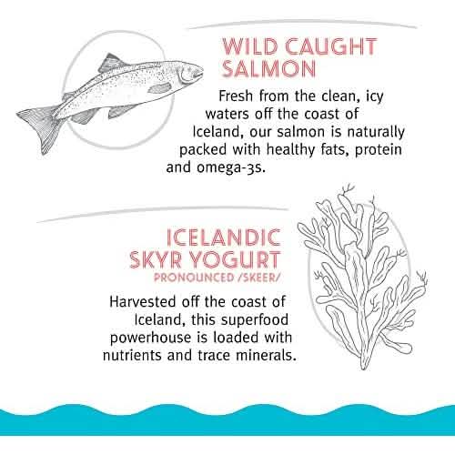 Icelandic+ Nibbles Salmon & Seaweed Flavor 2.25oz - Premium Cat Treats