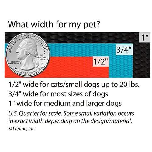 Lupine 3/4" Petunias 6 Foot Leash