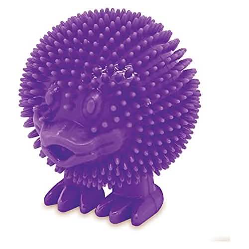 Best Pet Duck Squeaker Purple