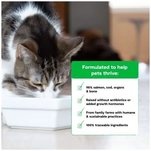 Open Farm Cat Food Salmon & Cod Flavor, 9oz Size