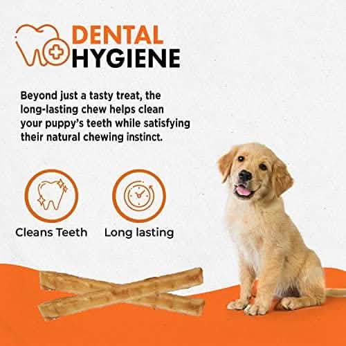 Canine Naturals Hide Free Puppy Chicken 5" 10 pk