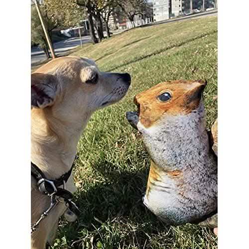 Meowijuana Doggijuana Get Outside Squirrel Large - 4oz Size for Dogs