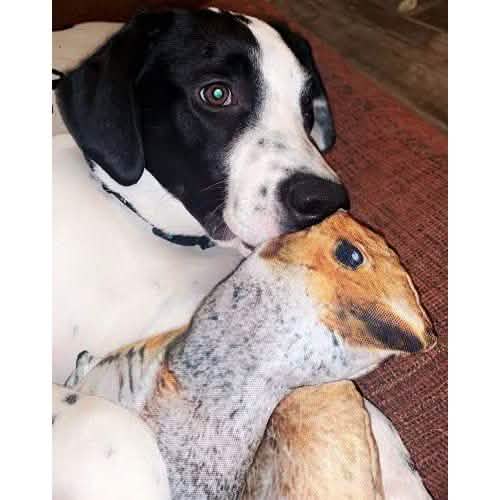 Meowijuana Doggijuana Get Outside Squirrel Large - 4oz Size for Dogs