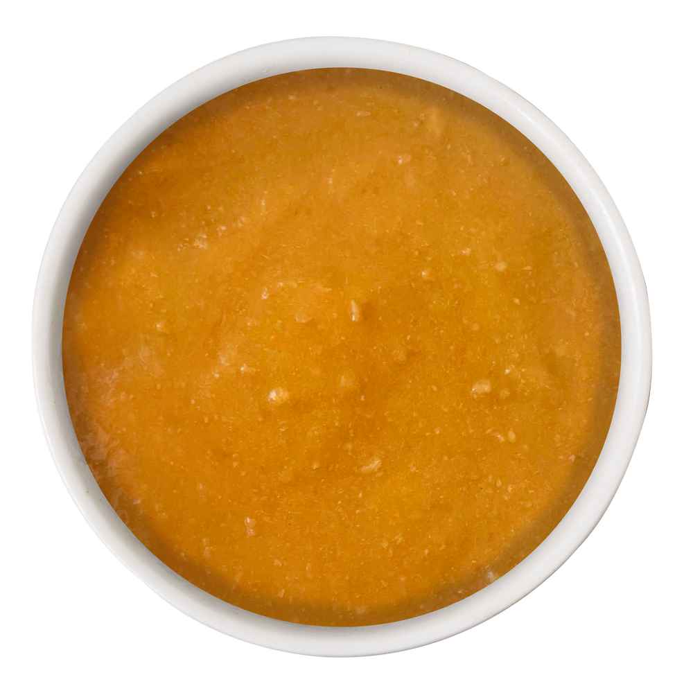 Cat Person Wet Cat Food Supplement Pouch Skin and Coat Support Chicken and Salmon 1.05oz