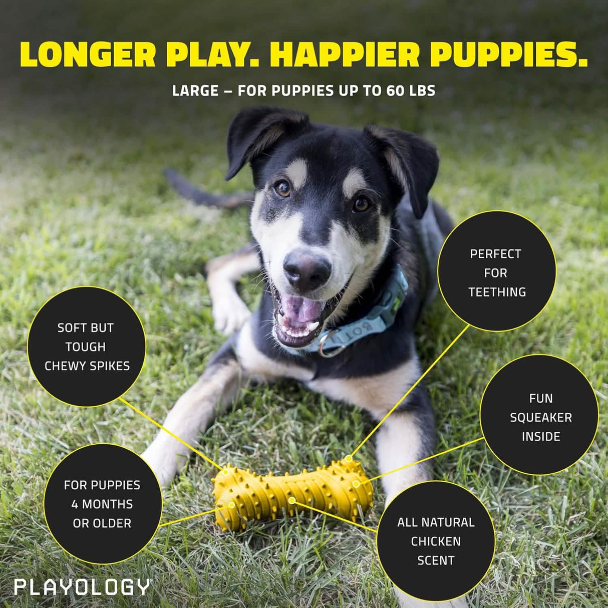 פּלייַאָלאָגיע הונט שפּילצייג ציינווייטיק ביין פֿאַר פּאַפּיז - הינדל שמעקן