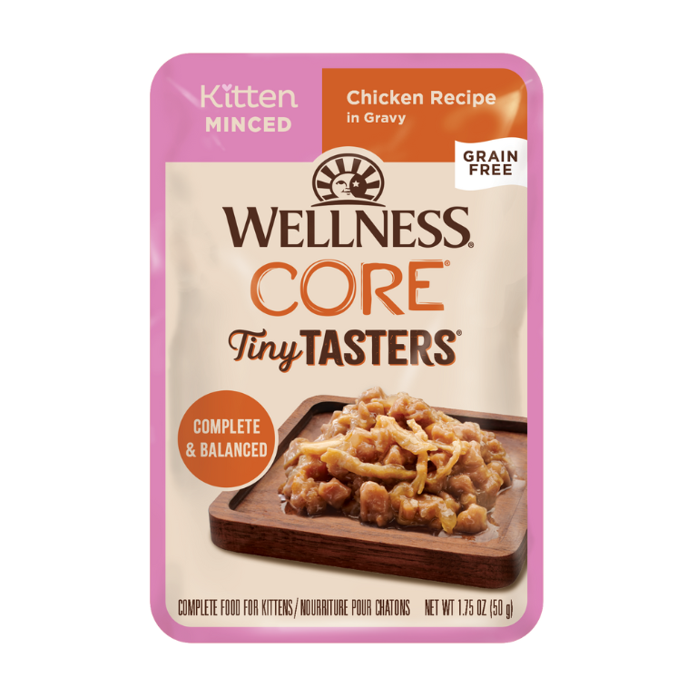 웰니스 웻 캣 푸드 파우치 코어 타이니 테이스터 키튼 다진 치킨 레시피 인 그레이비