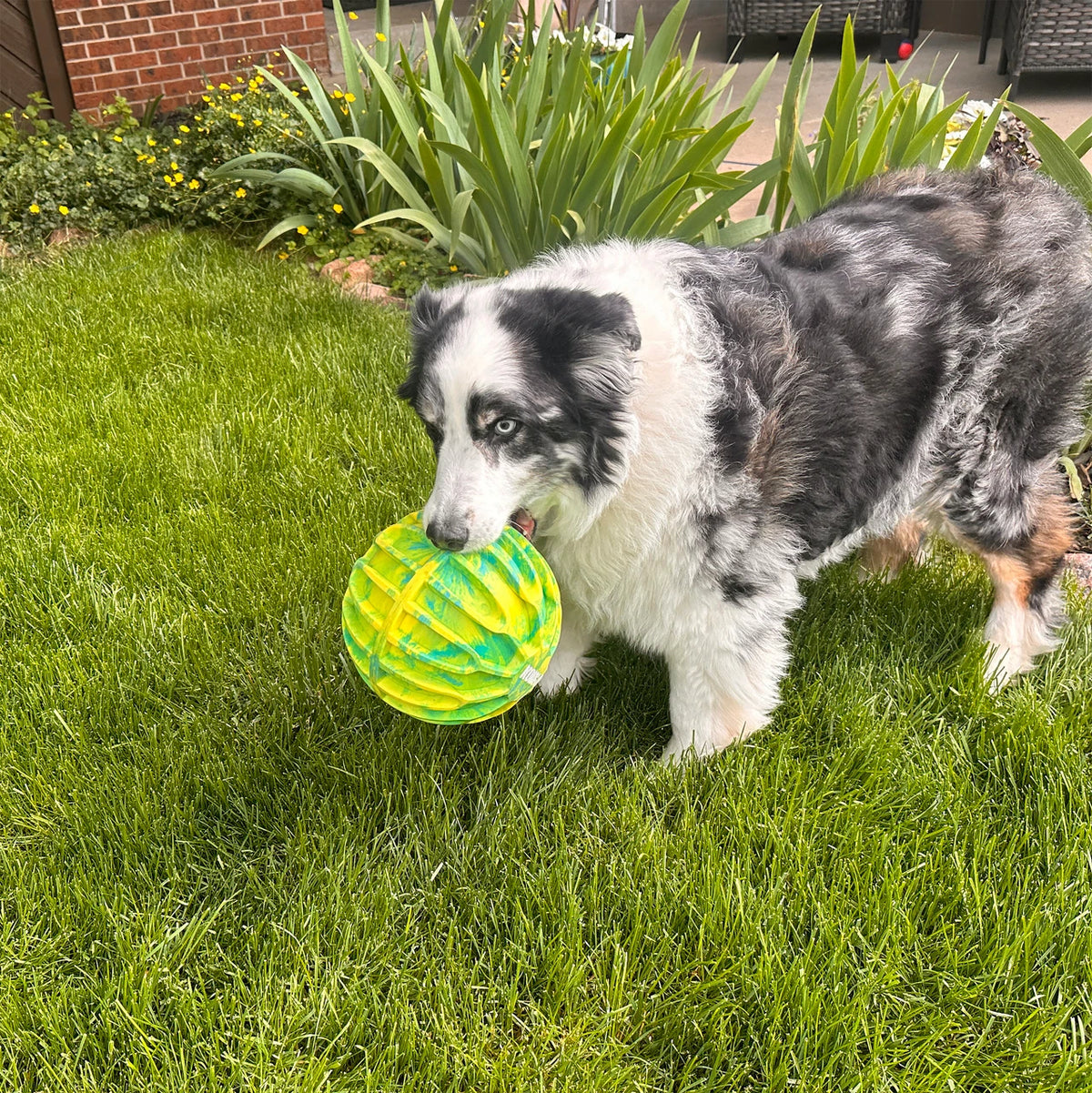 Kong Flexball Sport Ball (X-Large)